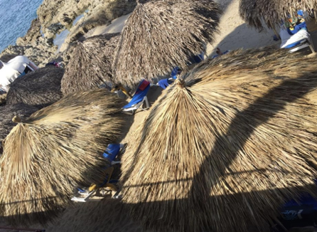 photo of beach palapas